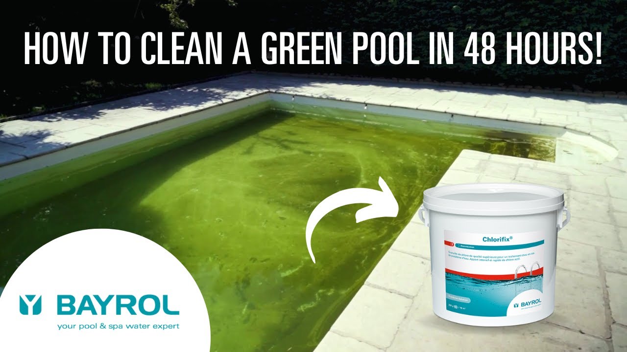 How to Clear a Green Pool? Tips For Clean Pool Water | BAYROL