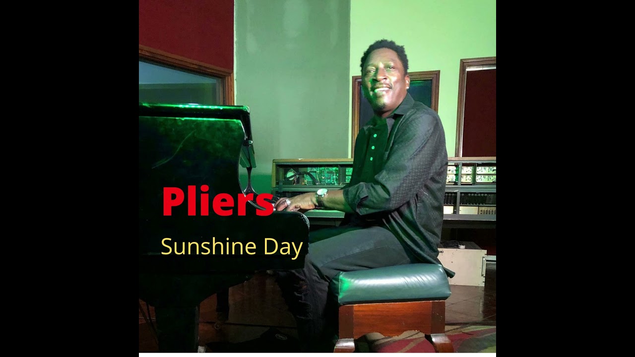 Pliers - Sunshine Day