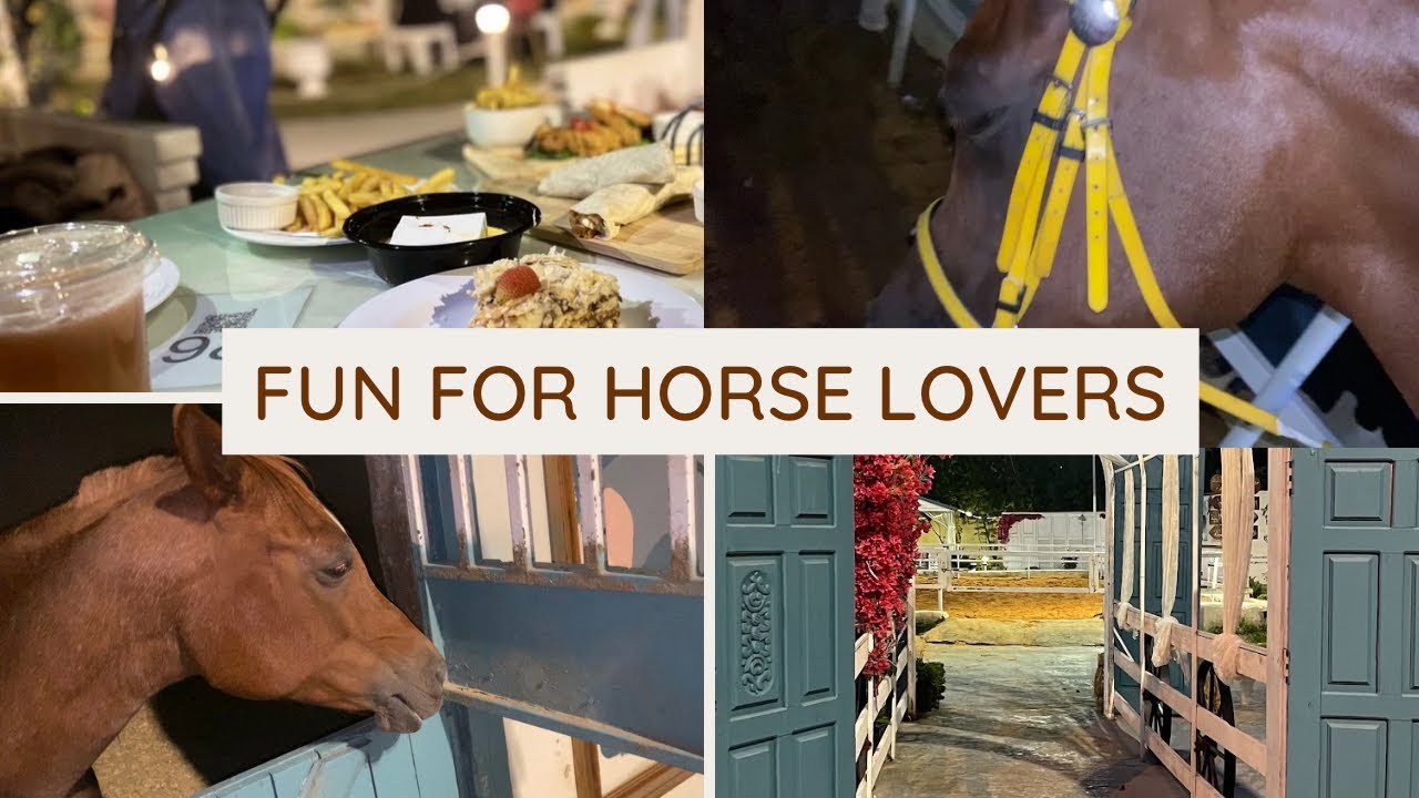زيارة مربط ومقهى اوزون | زيارة ممتعة وجميلة مليئة بالتجارب✨🐎💕