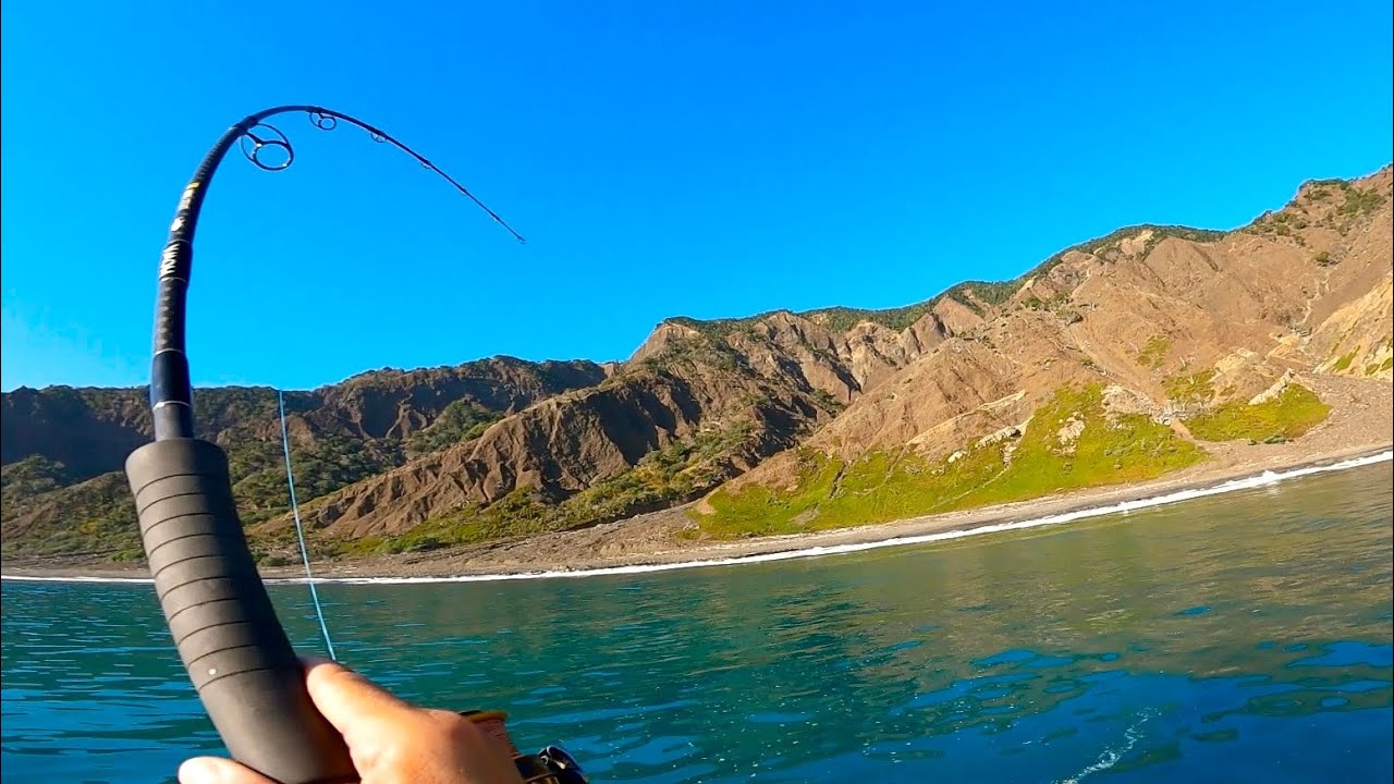 Pesca en Isla INFESTADA de Júreles!