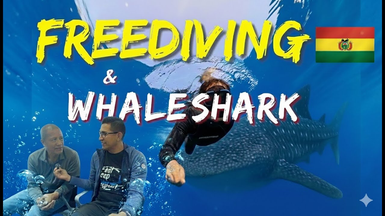 Apnea & Freediving: Entre Cenotes y Gigantes delMar