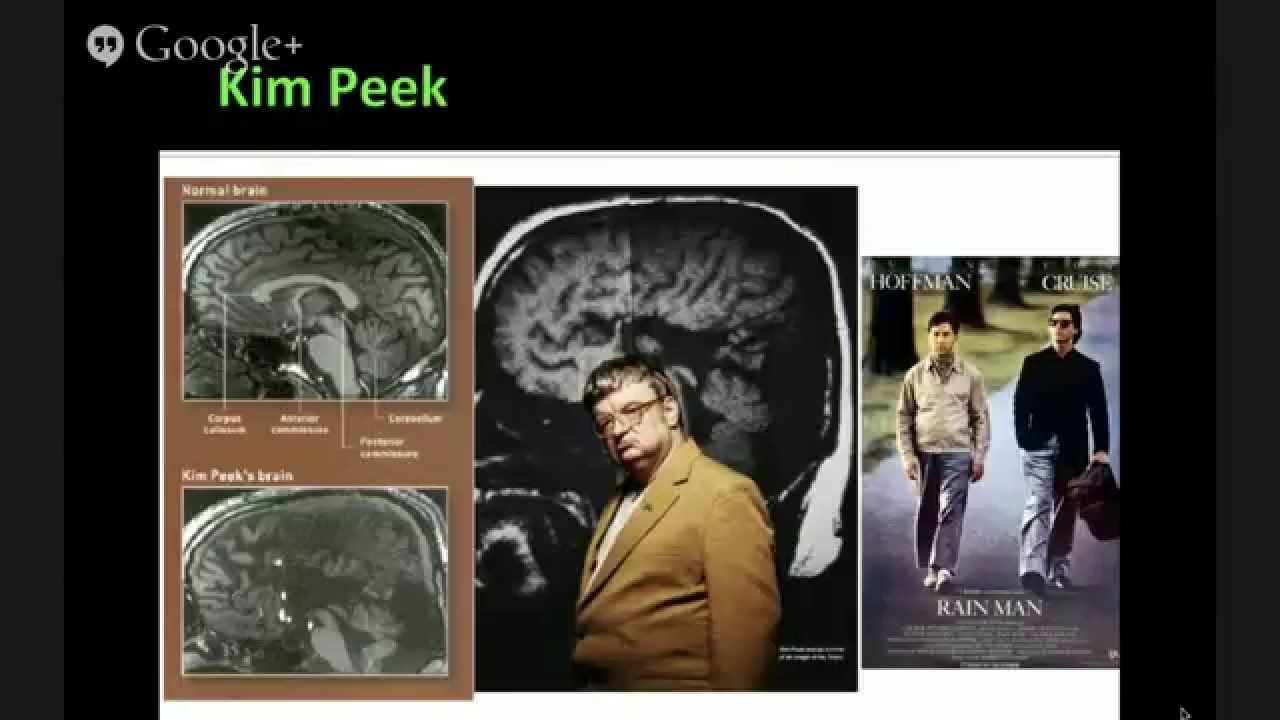 Vox Veritas Ep. 1 - Practical Neuroscience Part 1 - Introduction