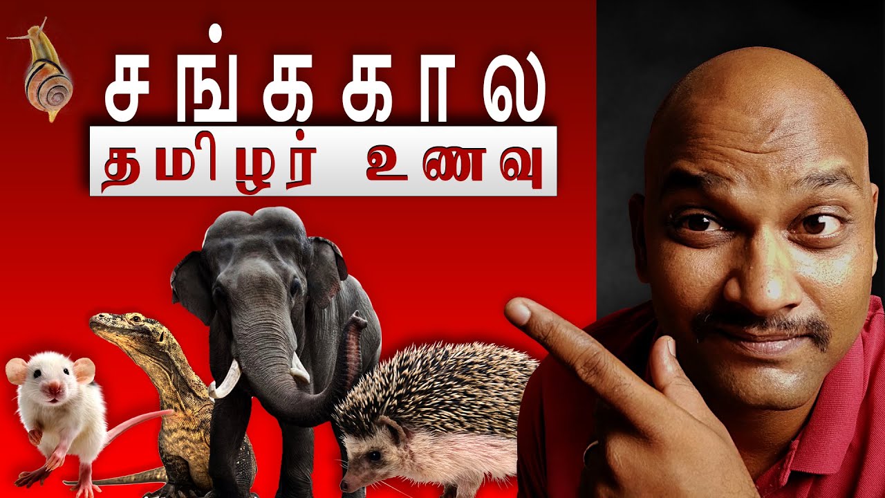 Can not hide Truth ! | Ancient Tamil Food | சங்க கால தமிழர் உணவு #tamil