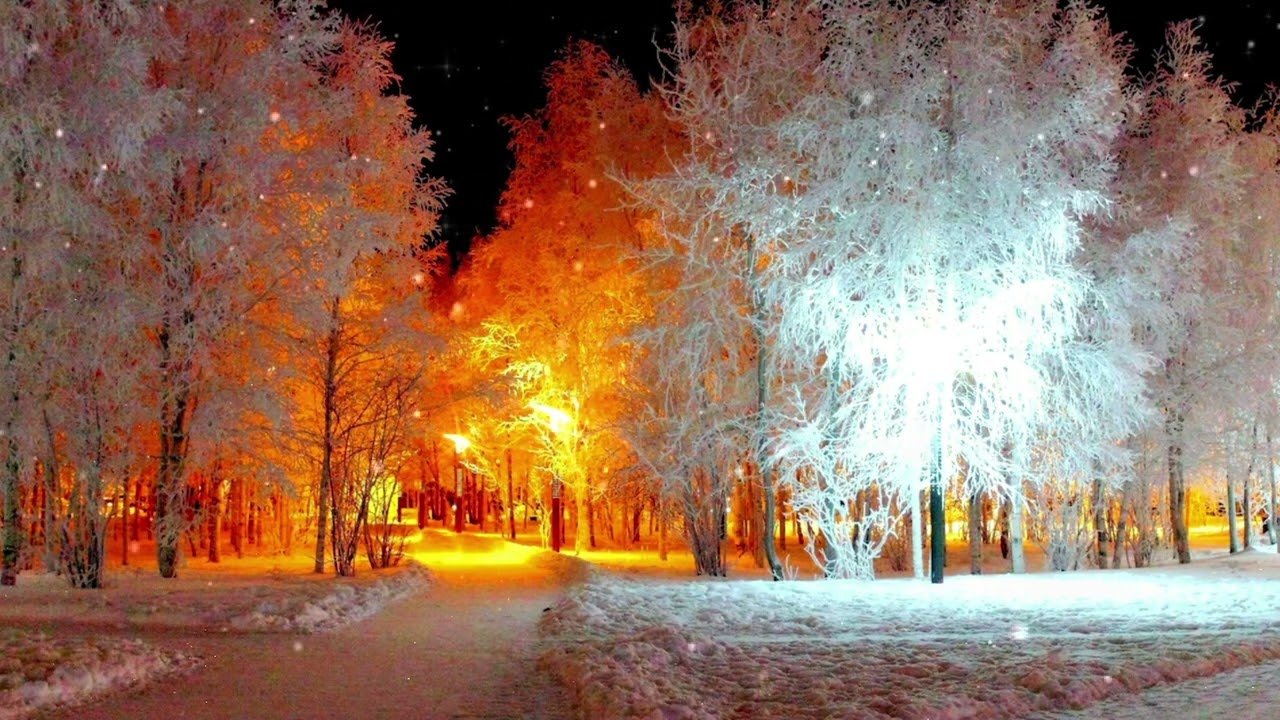 灯雪