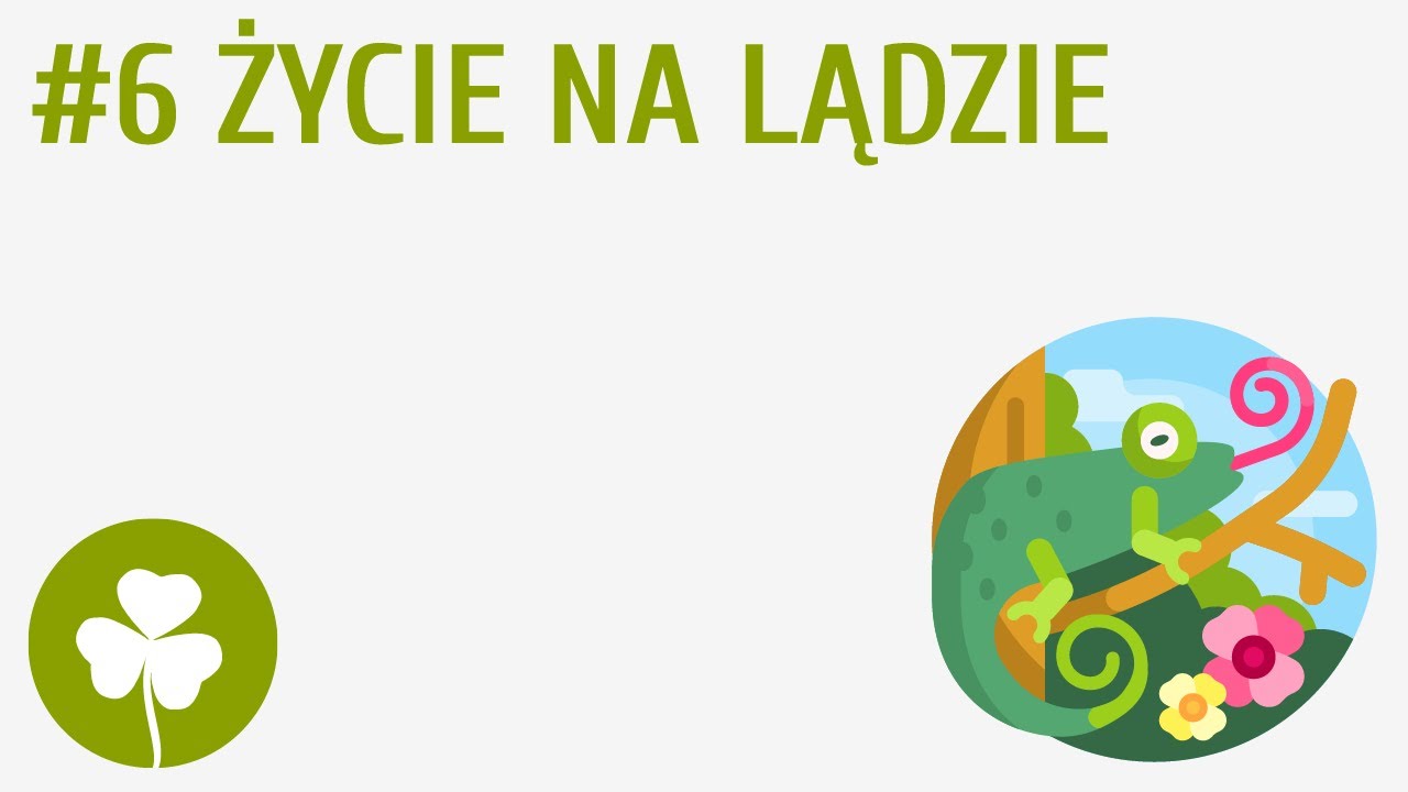Życie na lądzie #6 [ Przyroda wokół mnie ]