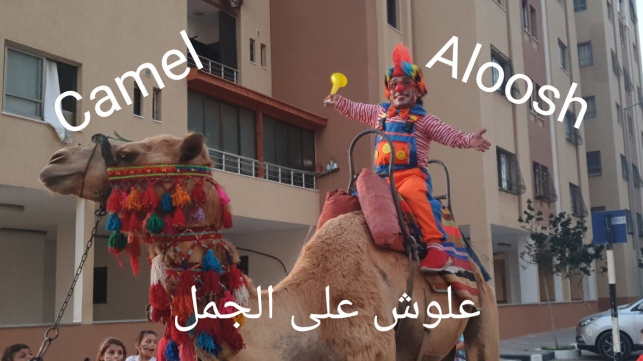 علوش على الجمل  (Aloosh rides aCamel)