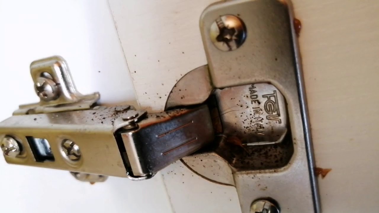 CAFARDS, GROSSE INFESTATION DANS UNE CUISINE