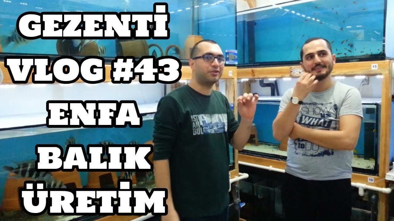 Gezenti Vlog #43 (Enfa Balık &Uuml;retim)