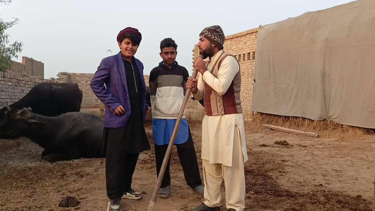 Daulat | Best Comedy Video | Top Comedy Video 2026 | Qasir TV