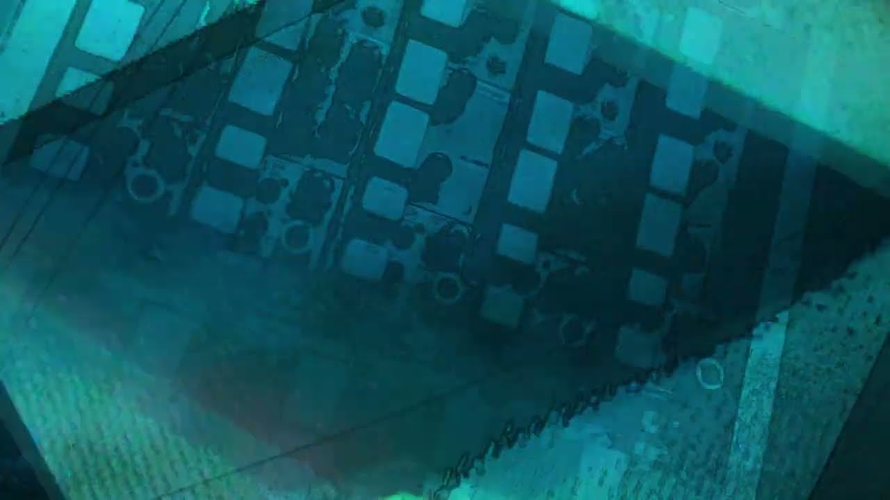 Dead Internet Theory [Alpha 8 Hz]