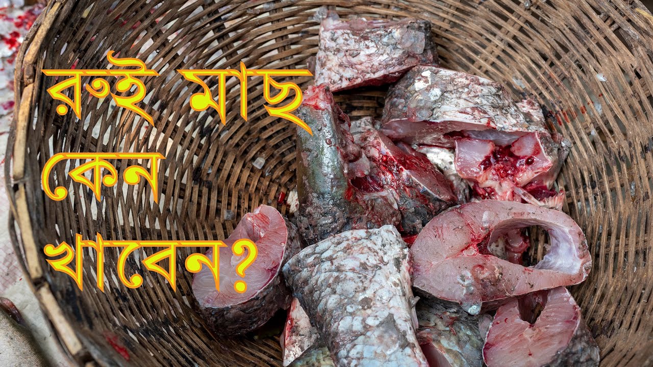 রুই মাছ কেন খাবেন? #Balaram_Mahalder
