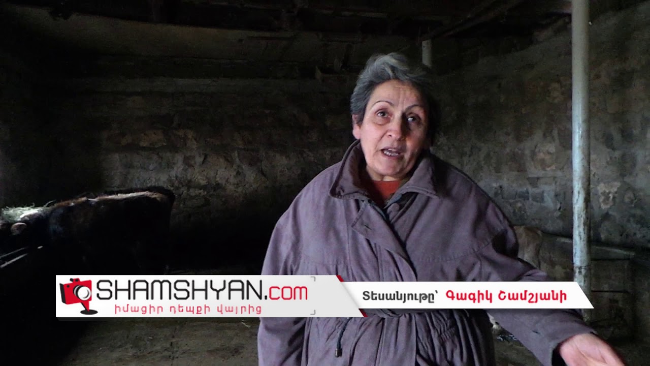 Խոշոր չափի անասնագողության դեպք Արագածոտնի մարզում
