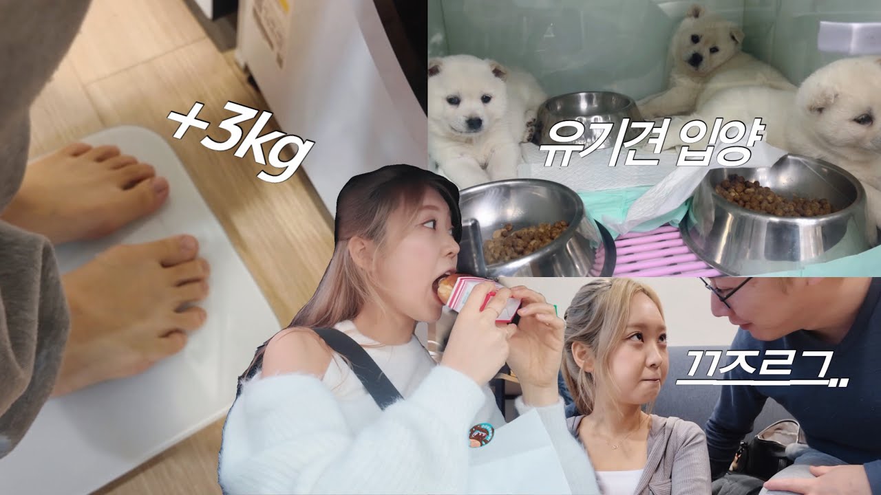 살은 쪘지만 행복한 일상이라네 | vlog,눈뜨고 두쫀쿠 베임,유기견 입양,다이어트전,남자친구 잔소리,도넛먹방,유기견보호소,소나무집 청국장 닭볶음탕,커플일상
