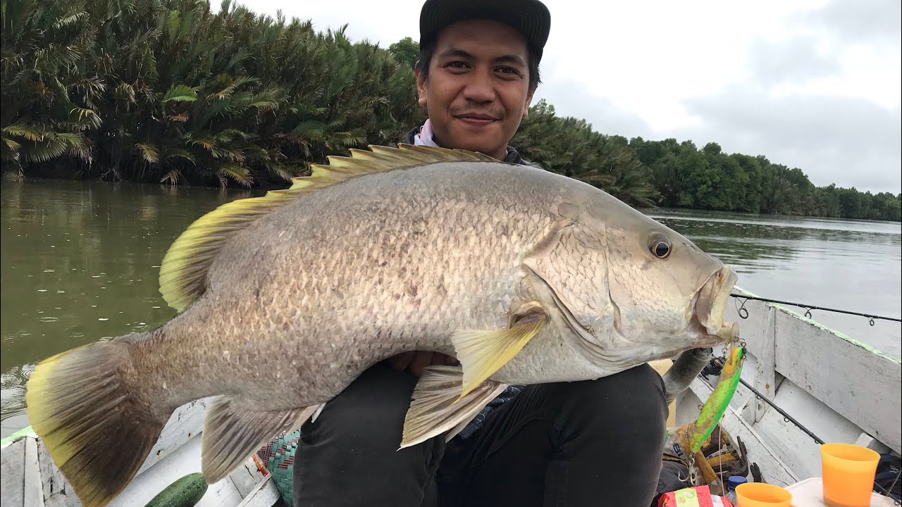 3 EKOR MONSTER BLACK BASS BERHASIL LANDED