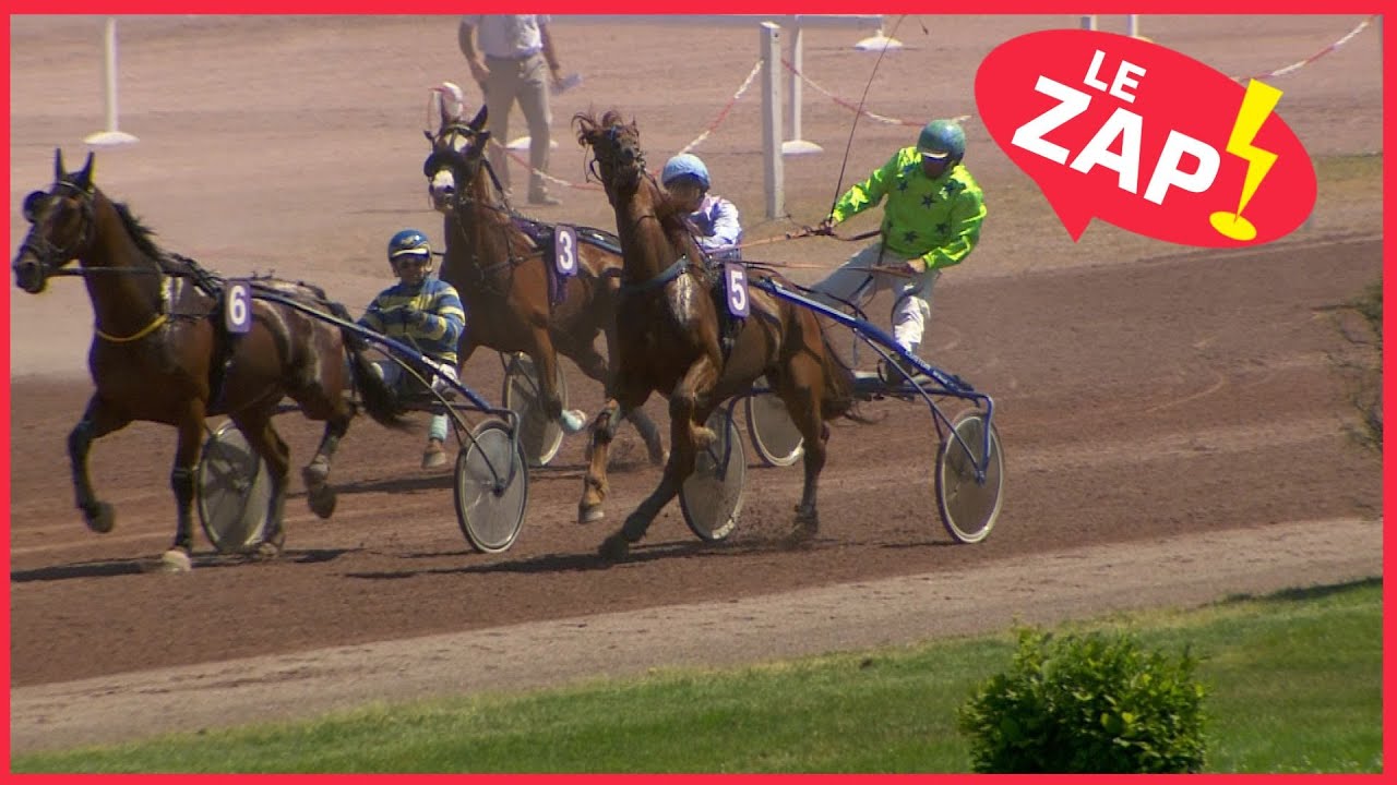 Acrobatie au sulky ! | Le Zap de juin 2023
