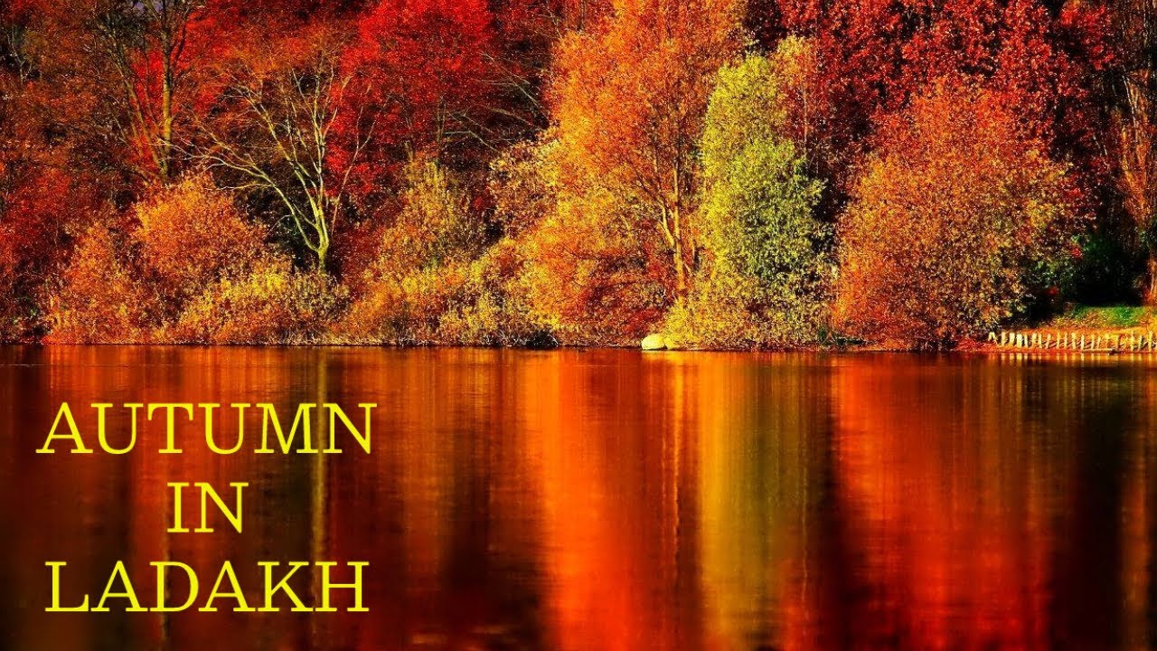 Autumn Season of Ladakh