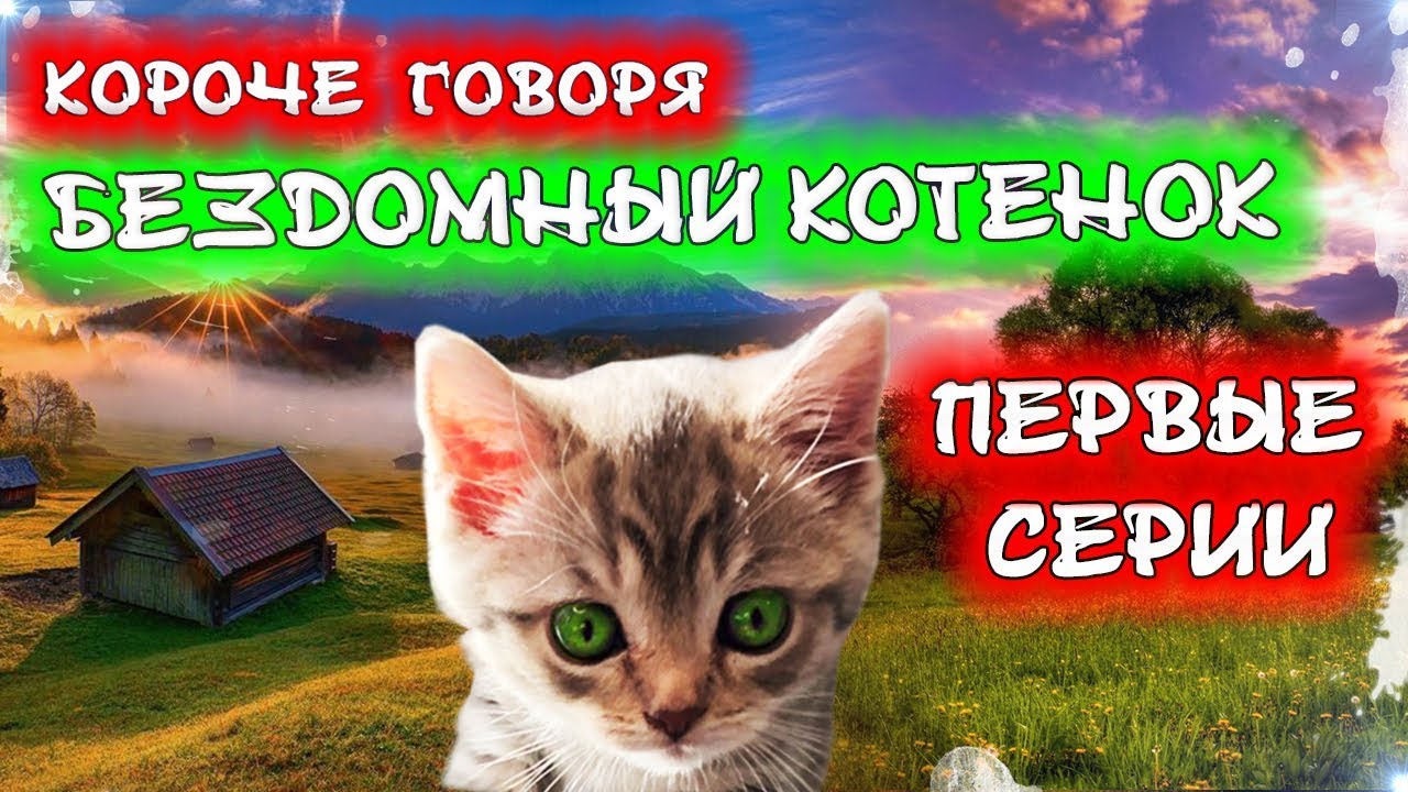 ЛЕГЕНДАРНЫЙ СЕРИАЛ О БЕЗДОМНОМ КОТЕНКЕ Лайки [От первого лица] Серия 1-5