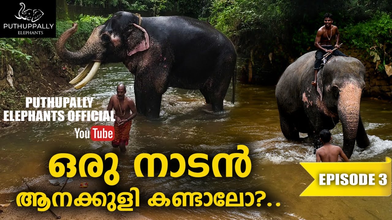 EP 03 | Kerala Elephant Shower | Puthuppally Sadhu & Puthuppally Rajeshwari l Elephant Nature Park
