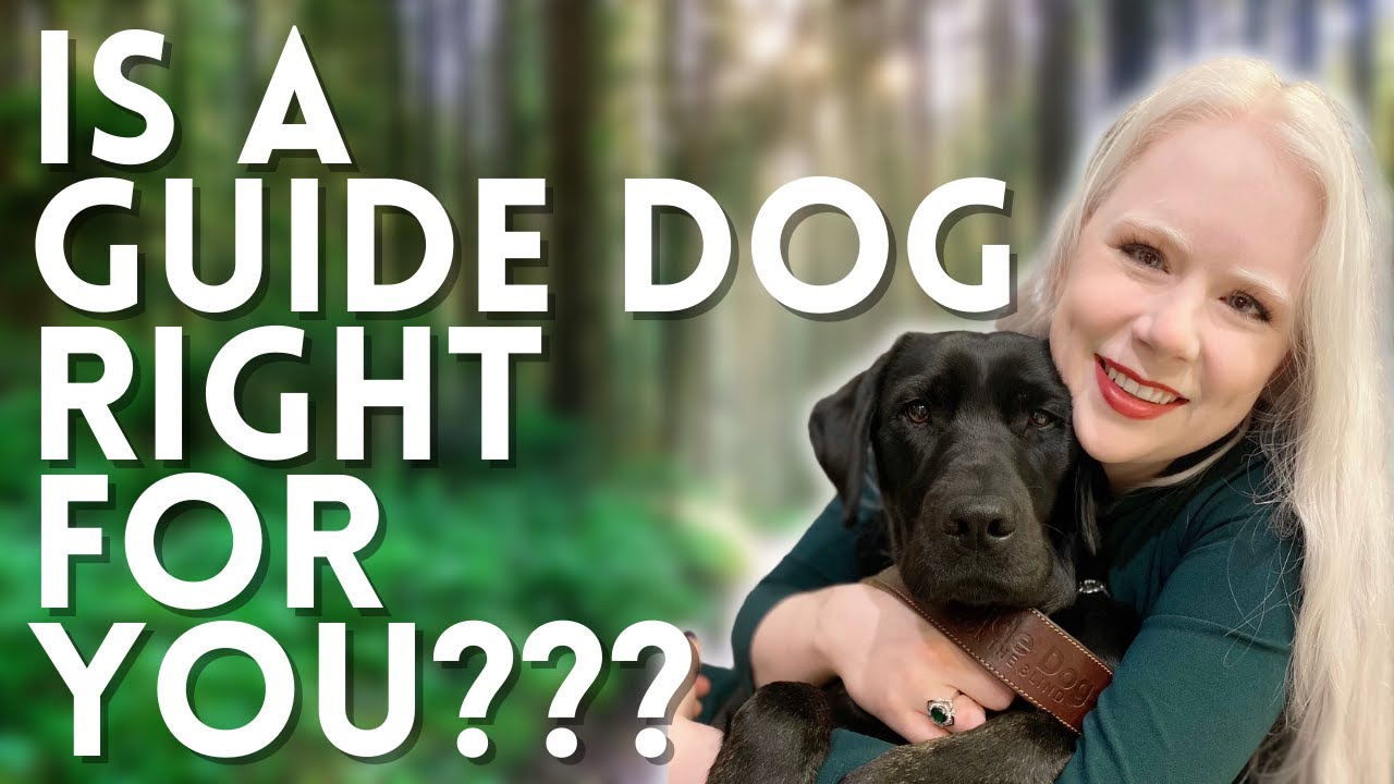 Is A Guide Dog Right For You? + Choosing A School