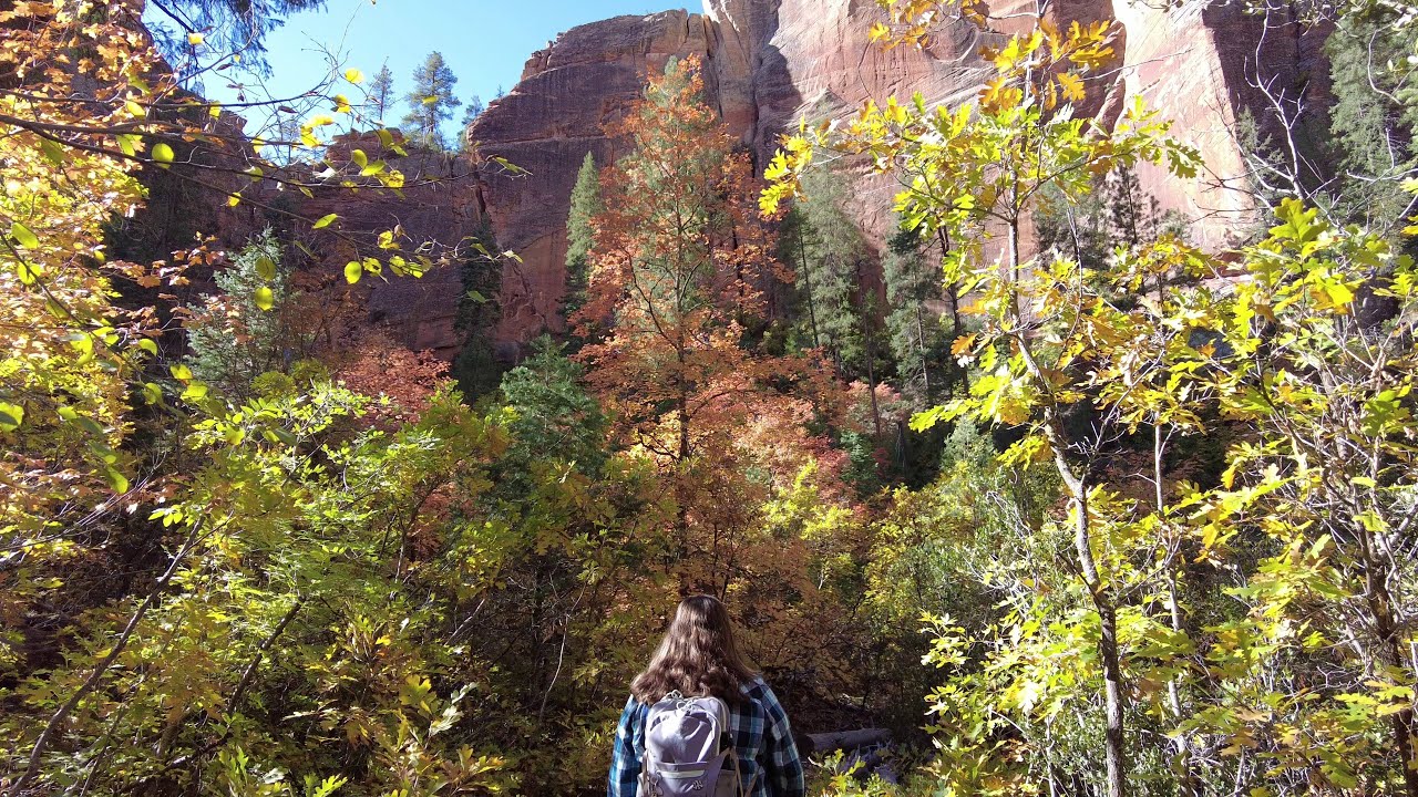 Hiking West Fork Trail & Oak Creek Canyon | Sedona, AZ | Fall Colors 2025