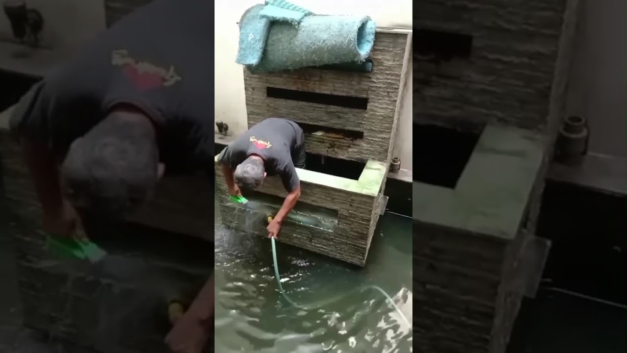 ikan besar mati dikolam, 3 HR baru ketahuan