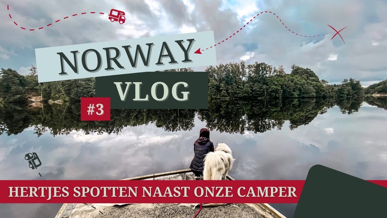 #3 VAN ZWEDEN MET HET PONDJE NAAR NOORWEGEN |ER LOPEN HERTJES LANGS DE CAMPER |SLAPEN AAN EEN RIVIER