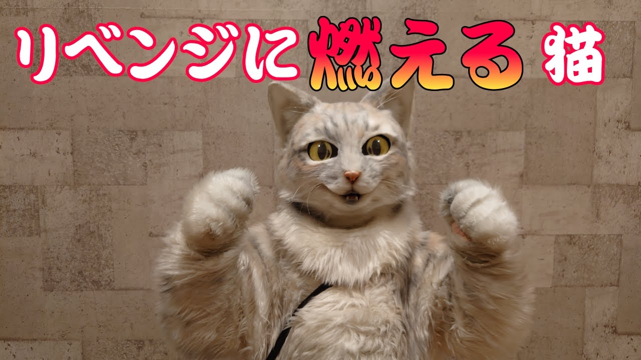 【リベンジ】なわとび！！『Cat challenging』