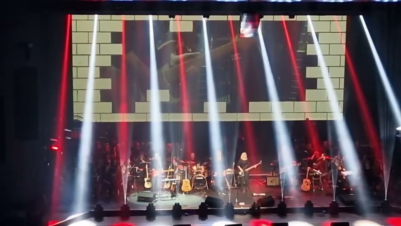 Happiest Days Of Our Lives/ Another Brick In The Wall pt.2+3 - Mr.Pink.A Tribute To Pink Floyd & R.W