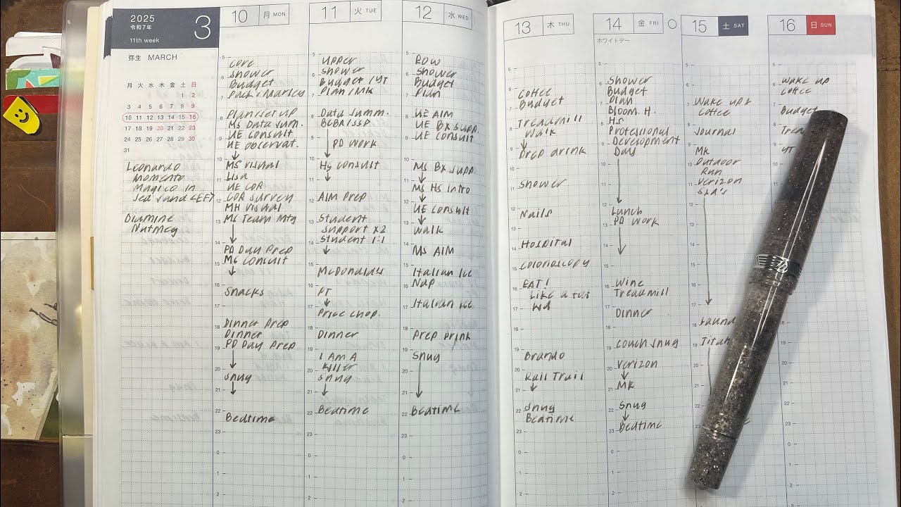 Functional Plan With Me - Week of 3/17/25 #hobonichi