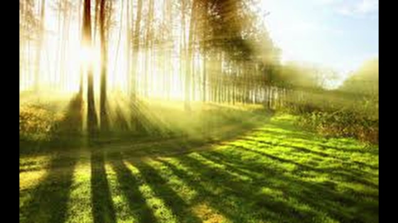 SHG - Bright sunshine
