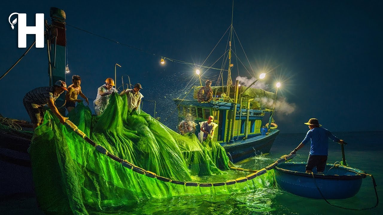 How Fisherman Catch Anchovies - Catching Tons of Anchovies - Anchovies Processing - @HappyFarm85