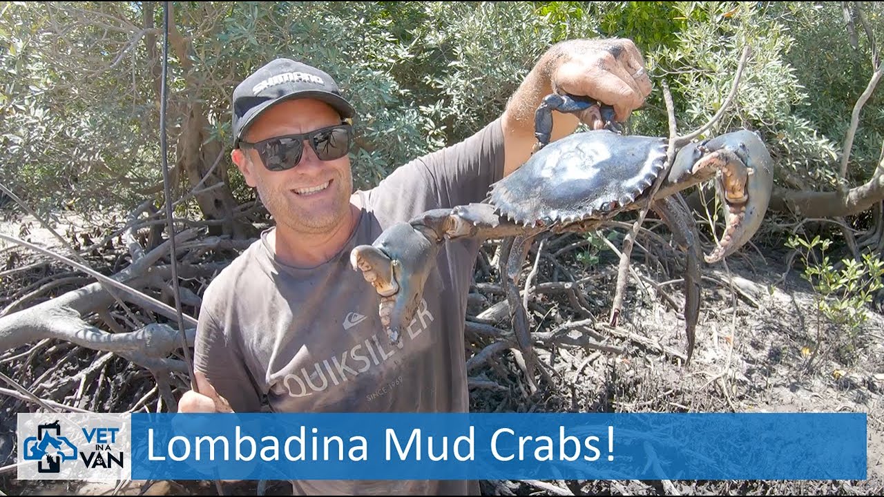 Dampier Peninsula / Lombadina Community