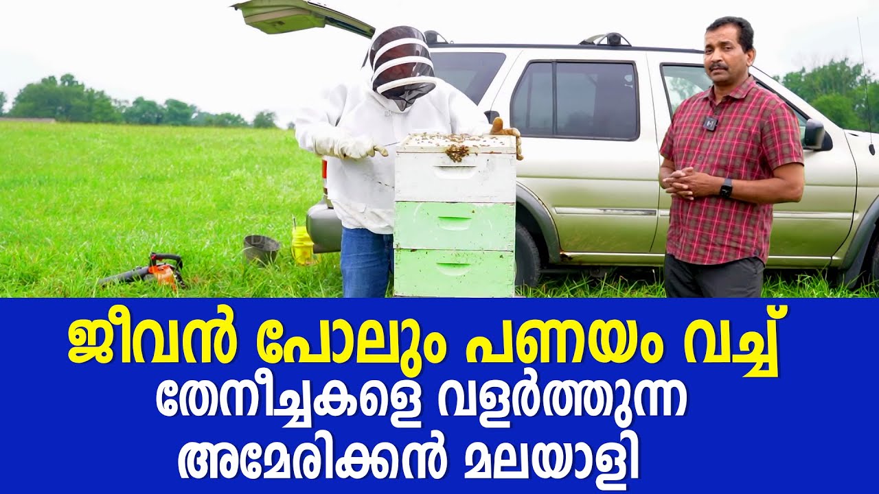 ജീവൻ പോലും പണയം വച്ച് തേനീച്ചകളെ വളർത്തുന്ന അമേരിക്കൻ മലയാളി