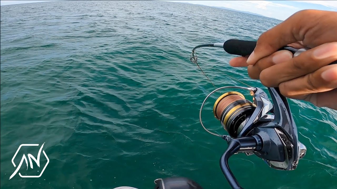 Golden Trevally Light Jigging - Shimano Ultegra / Grappler BB Type LJ