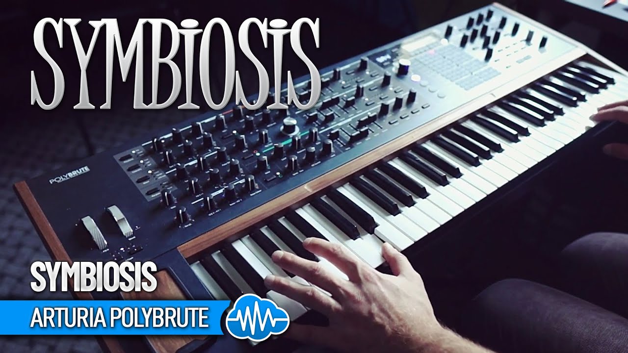 ARTURIA POLYBRUTE ♫ 32 Custom Presets ► Symbiosis Sound Bank