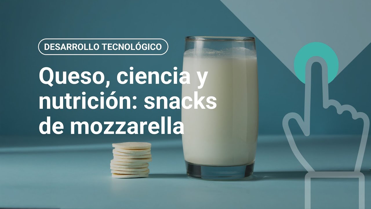Queso, ciencia y nutrición: snacks de muzzarella