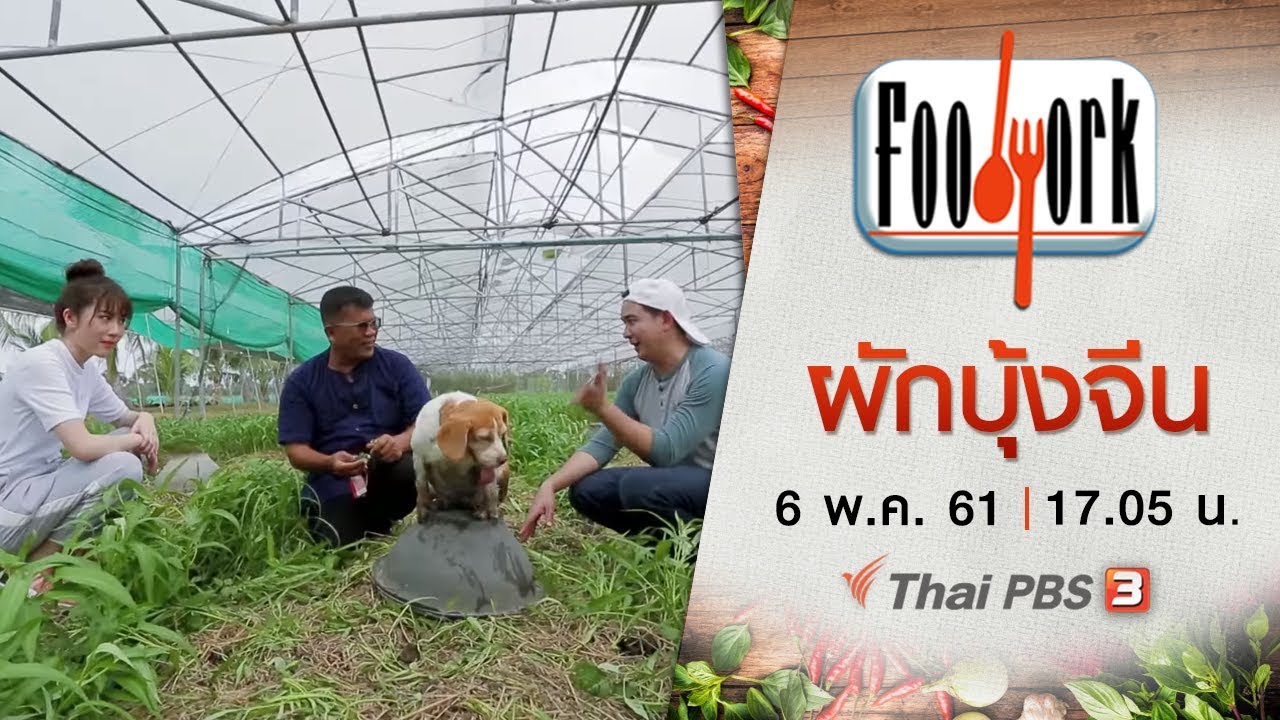 Foodwork : ผักบุ้งจีน (6 พ.ค. 61)