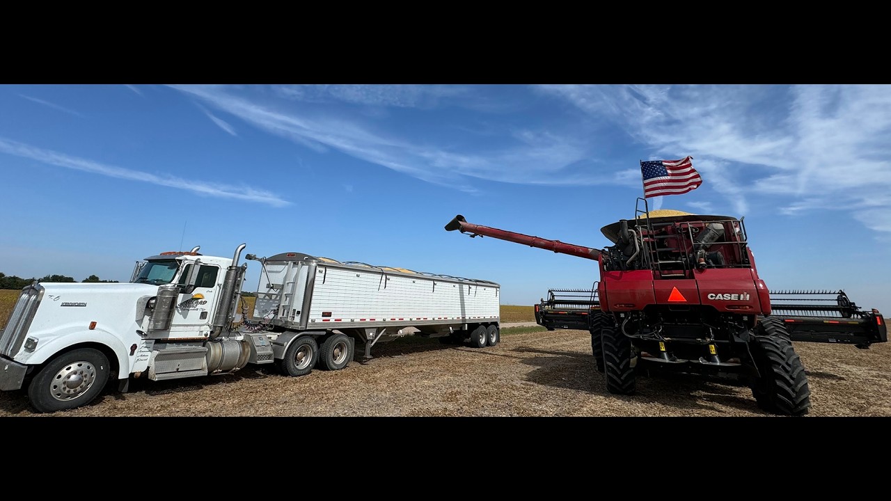 Nebraska Harvest (Day 7)