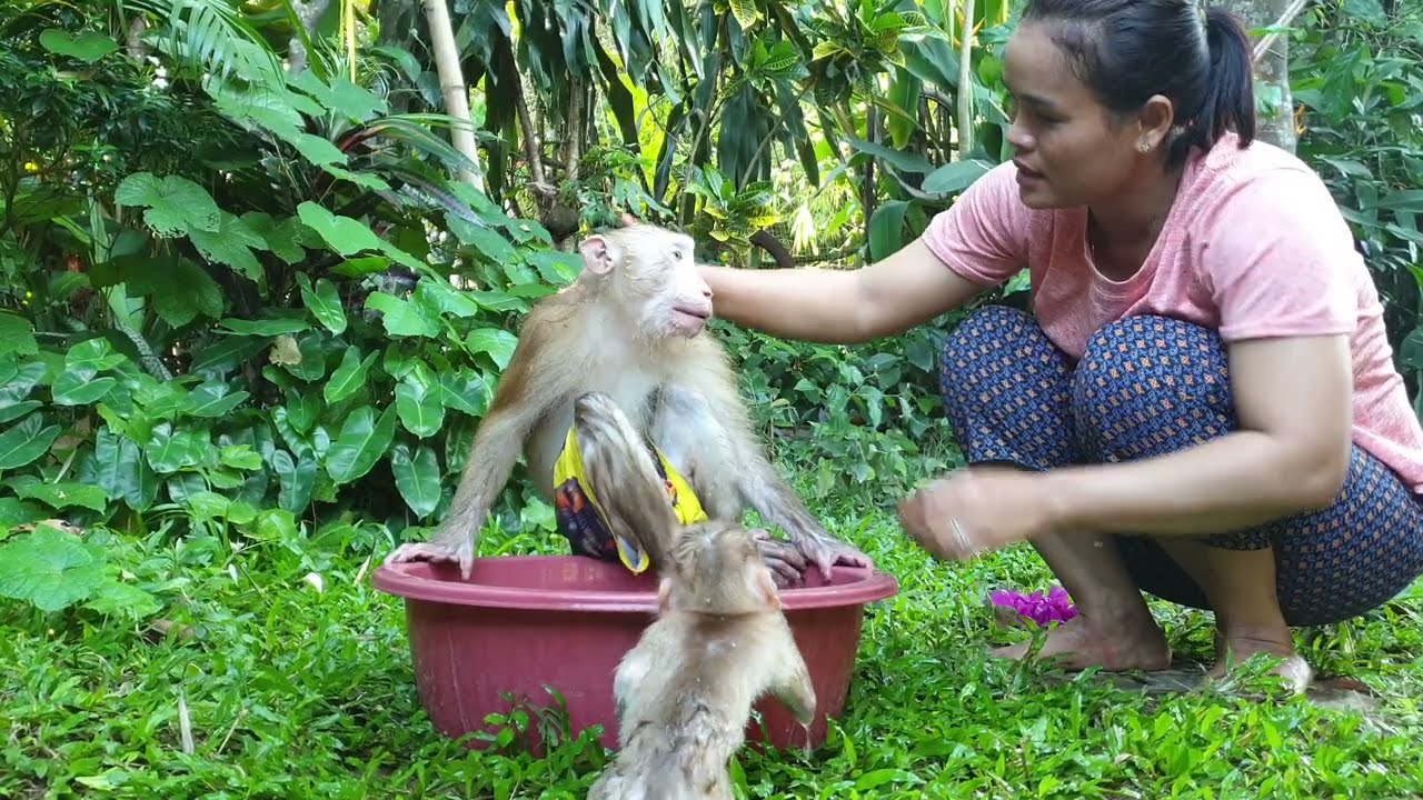 Mom take bathing for big boy Yoko