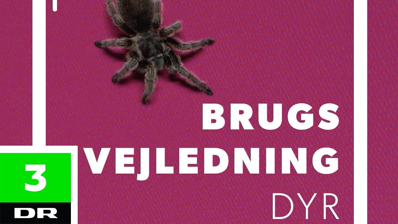 Brugsvejledning til dyr | DR3