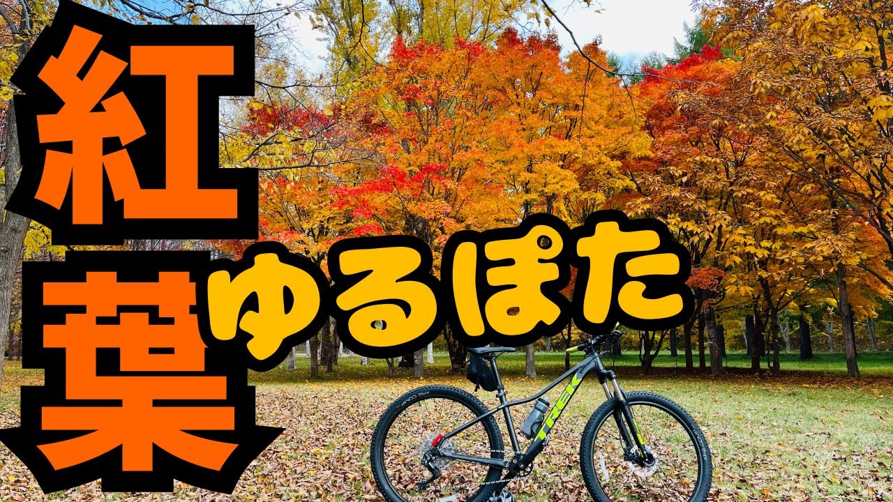 紅葉サイクリング！真駒内公園・北大・白石サイクリングロード！