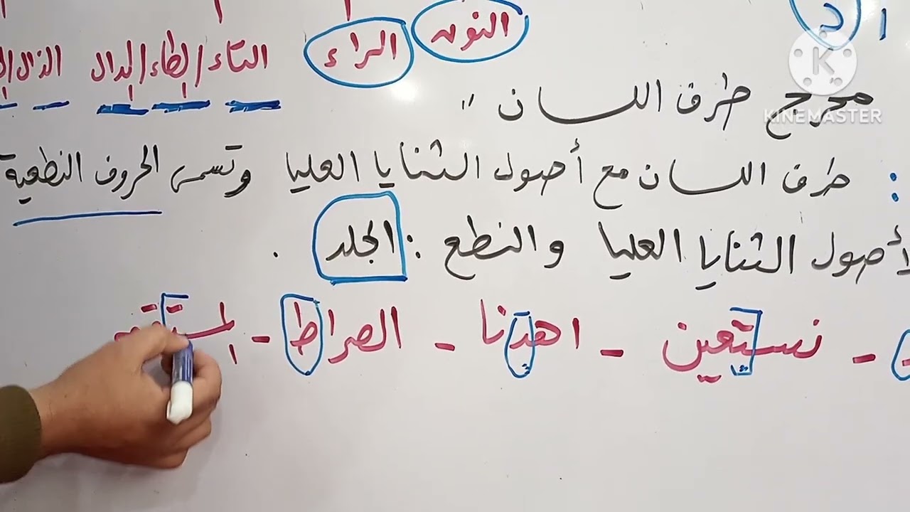 الدرس 👈 ( ٤٤ ) من دروس التجويد الميسر للمبتدئين 🥀 مخرج طرف اللسان ( التاء والطاء والدال )