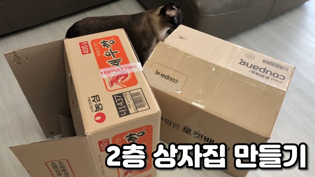 상자로 고양이들의 2층 집을 만들어 봤습니다.