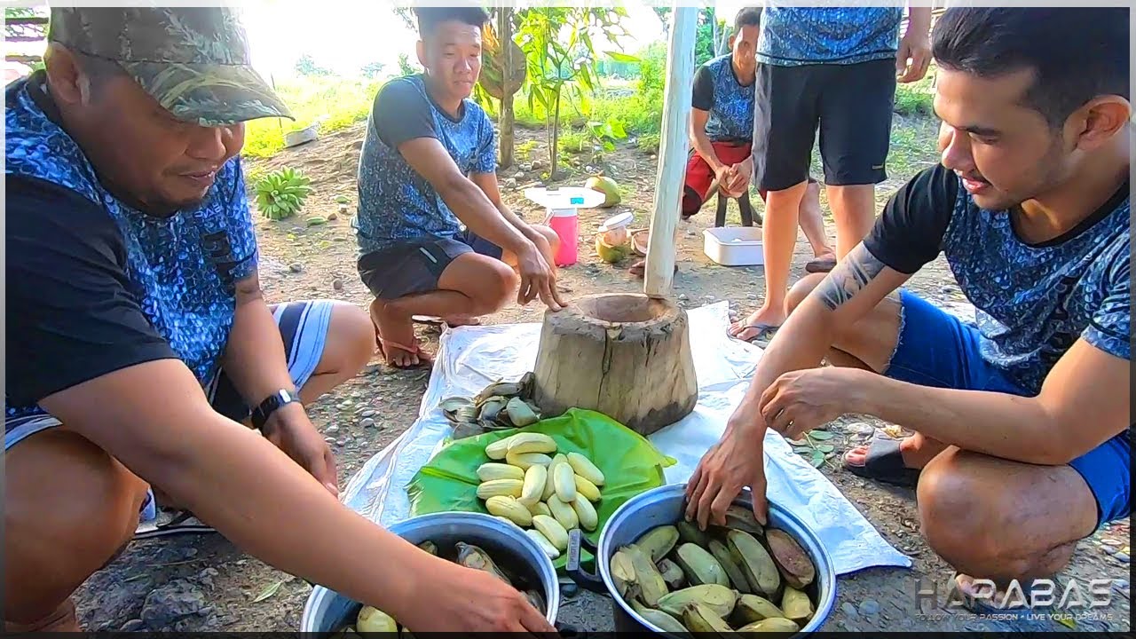 EP348-Part2 - Pag-ani ng Saging na Saba | Paggawa ng Nilupak | Occ. Mindoro