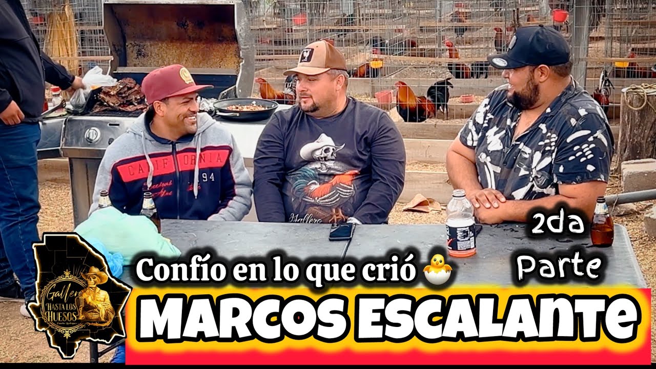 La familia y los gallos / Marcos Escalante 2da parte 