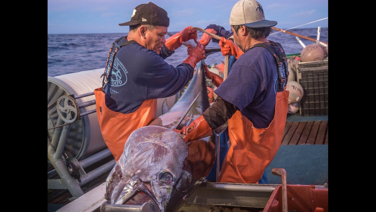 Life On A Hawaii Longline Fishing Boat