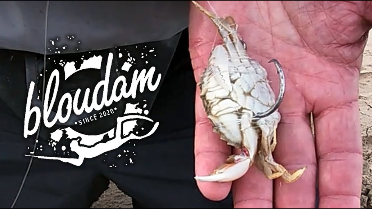 WHITE STEENBRAS FISHING WITH SAND CRAB