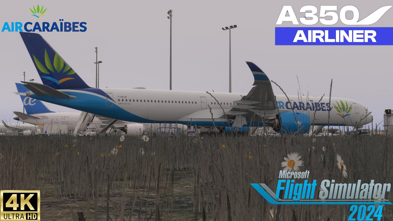 Pointe-à-Pitre to Paris | Air Caraibes A350-1000 | MSFS2024