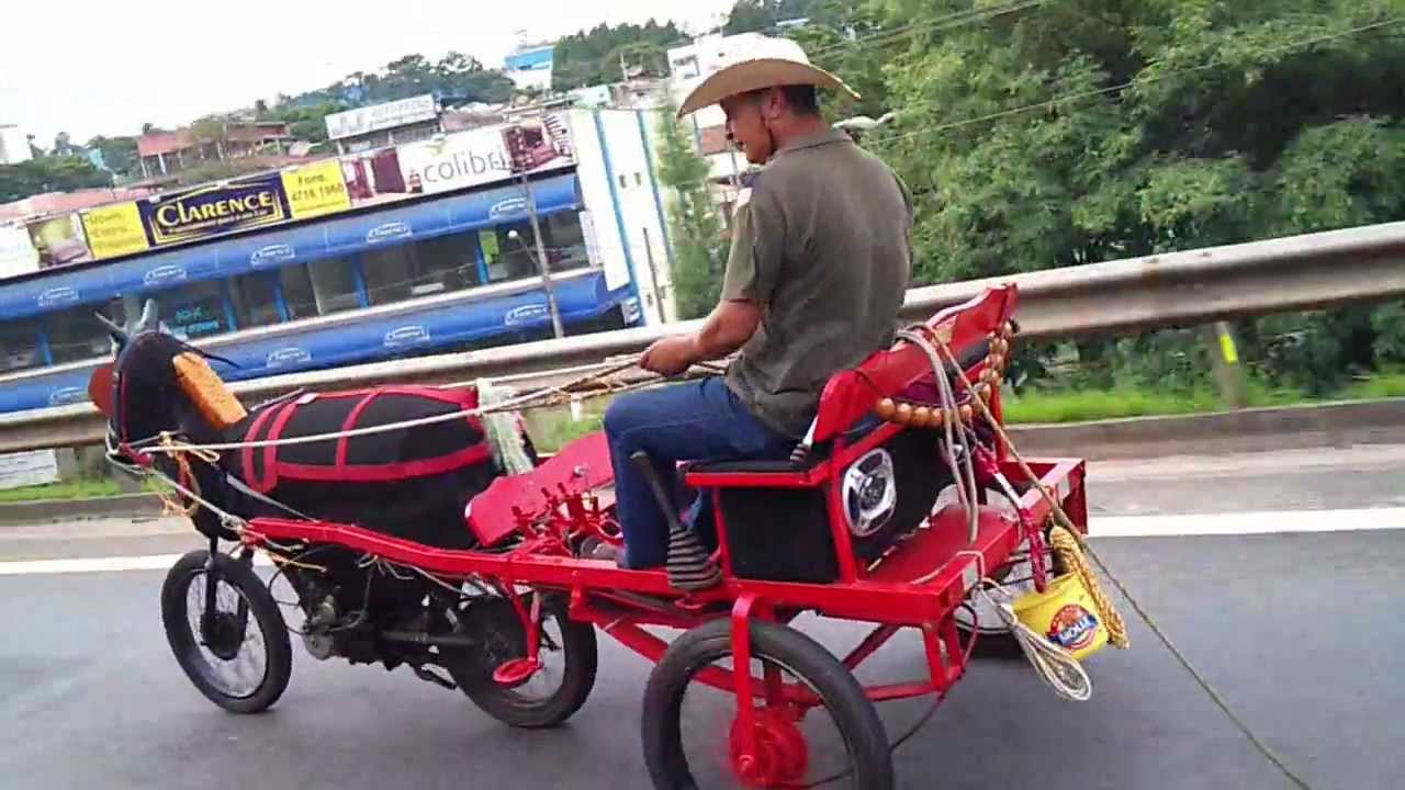 joão dias e a charrete motorizada