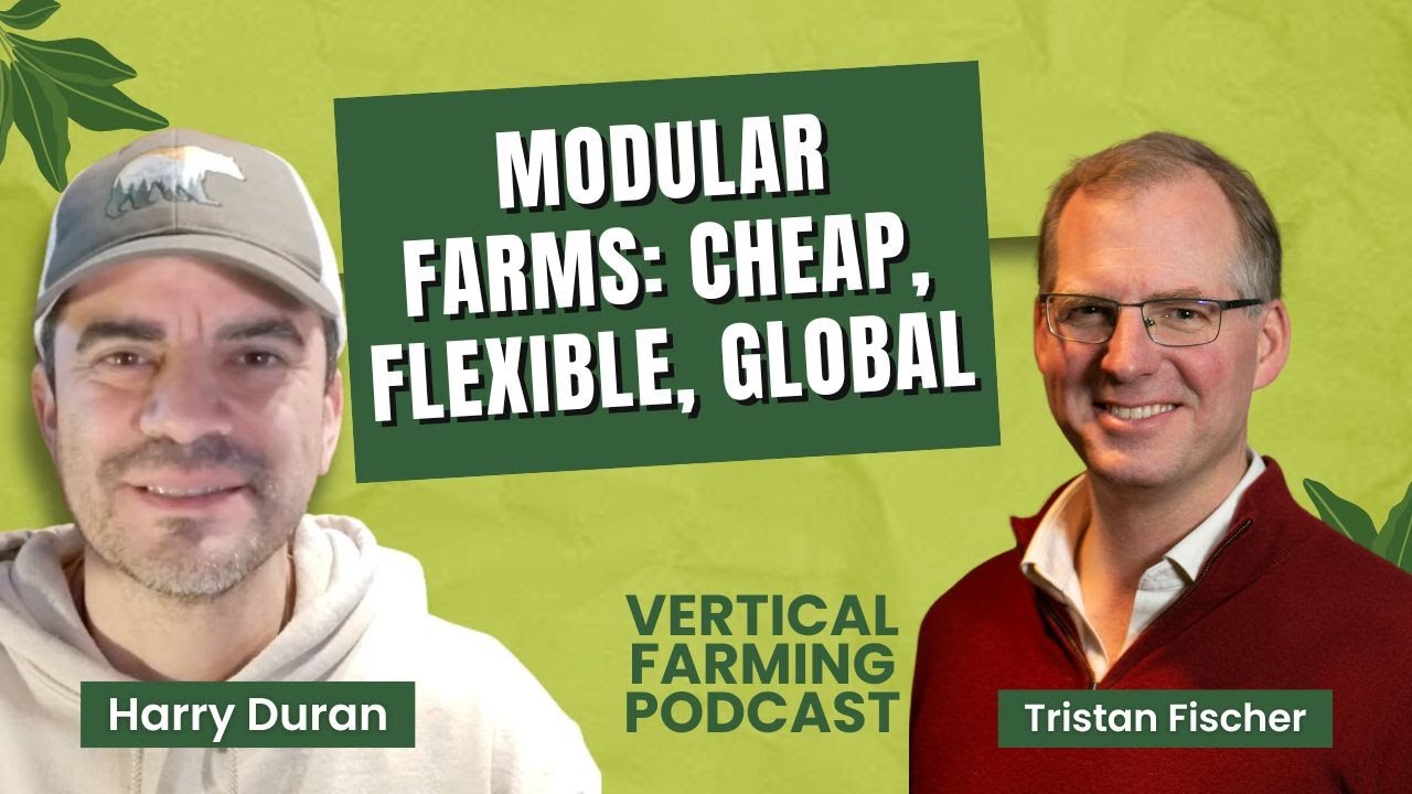 Inside the World’s Most Advanced Vertical Farm: Secrets Revealed!